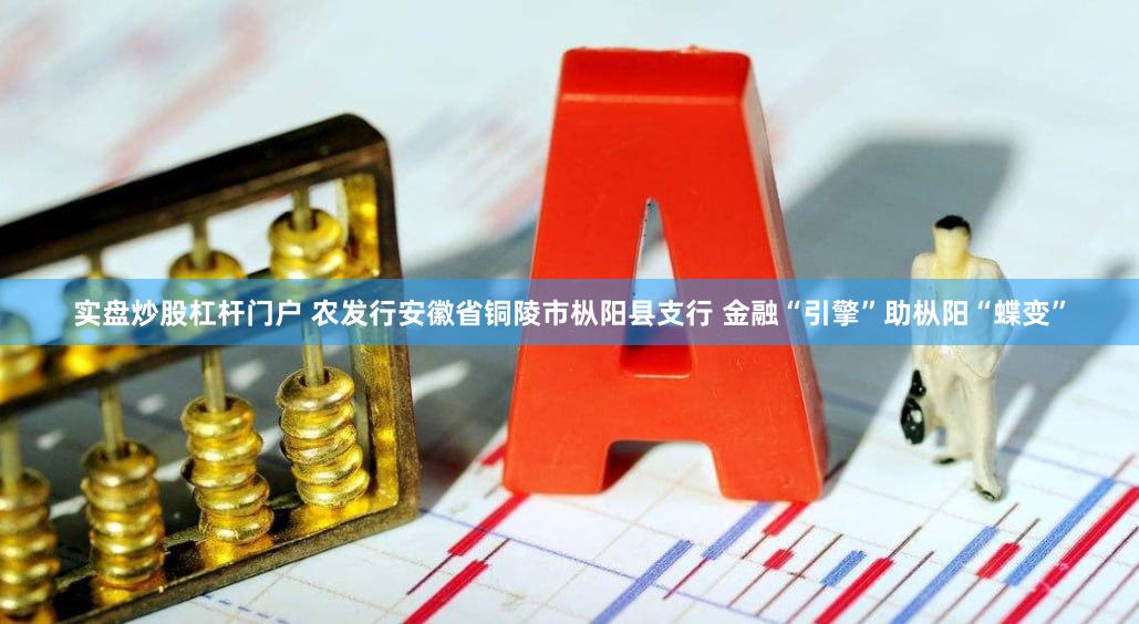 实盘炒股杠杆门户 农发行安徽省铜陵市枞阳县支行 金融“引擎”助枞阳“蝶变”