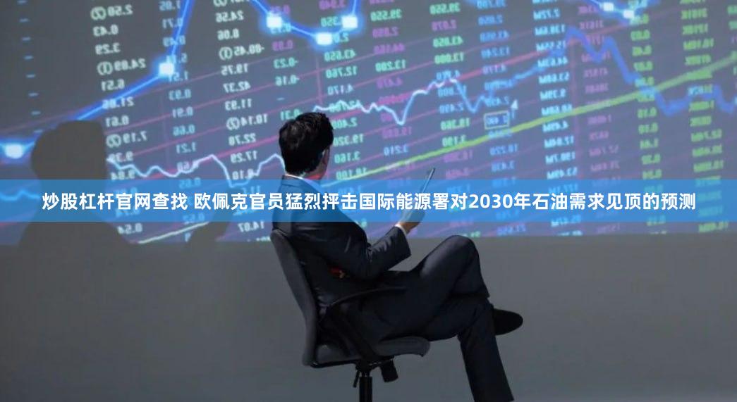 炒股杠杆官网查找 欧佩克官员猛烈抨击国际能源署对2030年石油需求见顶的预测