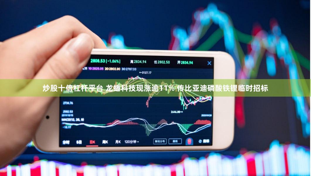 炒股十倍杠杆平台 龙蟠科技现涨逾11% 传比亚迪磷酸铁锂临时招标